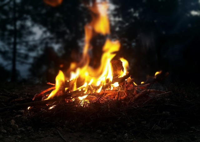 Житель Бурятии «случайно» сжег 22 гектара леса 