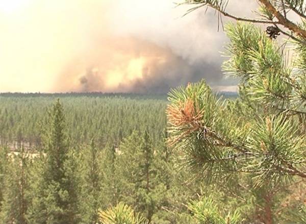 В Бурятии зарегистрированы первые лесные пожары