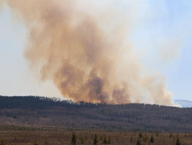 В Бурятии пользователи соцсети вновь подняли ложную тревогу по лесным пожарам