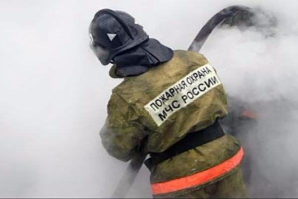 В Улан-Удэ на пожаре в свинарнике погибло 24 животных