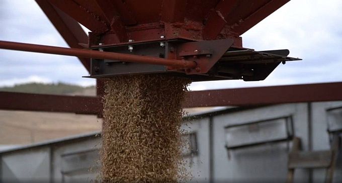 Бурятия отправила Монголии больше семи тысяч тонн зерна