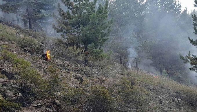 Три пожара потушили в лесах Бурятии